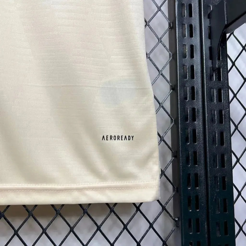 Away 24/25 Fan Shirt