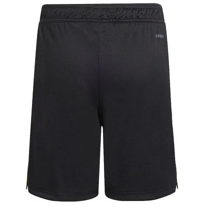 Third 25/26 Shorts